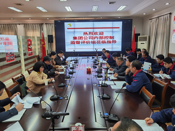 集團(tuán)公司到公司開(kāi)展內(nèi)控自評(píng)檢查工作 集團(tuán)公司到公司開(kāi)展內(nèi)控自評(píng)檢查工作